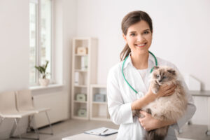 Top 10 Tips for Keeping Your Pet Calm During Vet Visits